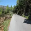 Участок в Мойдеж