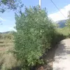 Участок в Которе
