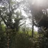 Участок в Куляче с видом на море