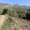 Участок в Будве с видом на Святой Стефан