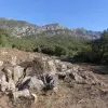 Участок в Будве с видом на Святой Стефан