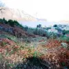 Участок в Которской ривьере