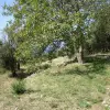 Участки в Будве