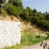 Участок с готовым проектом