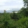 Участок в Близикуче