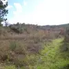 Участок в Радановичи