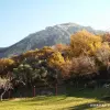 Участок в Баре
