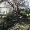 Вилла в городе Бар