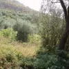 Участок в городе Режевичи