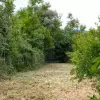 Участок в городе Котор