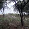 Участок в городе Утеха