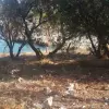 Участок в городе Утеха