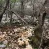 Участок в городе Котор