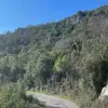Участок в городе Подгорица