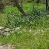 Участок в городе Котор