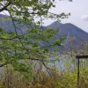 Участок в городе Котор