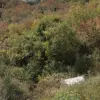 Участок в городе Петровац