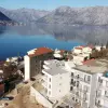 Квартира в городе Доброта