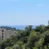 Квартира в городе Пржно