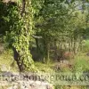 Участок в городе Будва