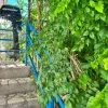 Вилла в городе Котор