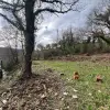 Участок в городе Котор