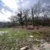 Участок в городе Котор
